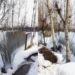 14 Kanals of encroached land retrieved from encroachers at Shopian