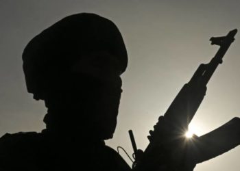 Suspected militants snatch rifle from CRPF trooper in south Kashmir