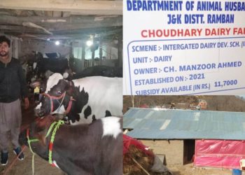 J&K to generate 16k jobs in next 5 years in dairy sector: Atal Dulloo