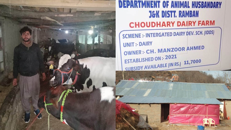 J&K to generate 16k jobs in next 5 years in dairy sector: Atal Dulloo