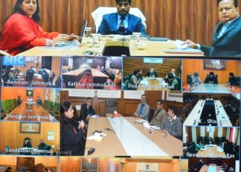 Focus on Sanitation & Employment generation in your areas: CS to DCs