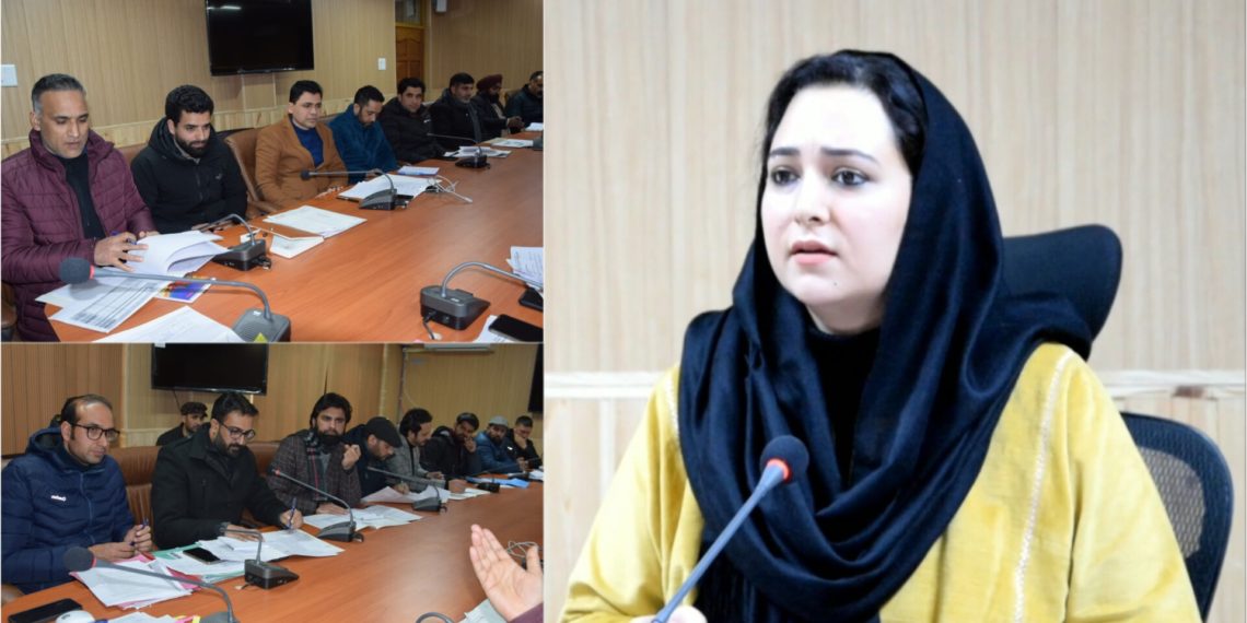 DC B’la reviews progress of digitization of Massavis, other Revenue related matters 