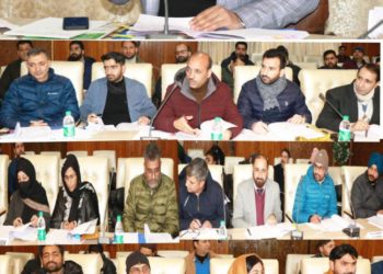DC Srinagar chairs District Level Bankers Review Committee Meeting