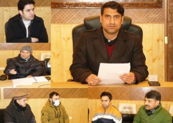 DC Srinagar chairs Establishment Committee meeting of Srinagar Development Authority (SDA)