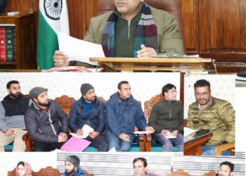 DC Srinagar reviews parameters of District Employment Plan
