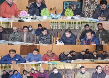 DDC Pulwama chairs DLRC meeting