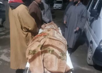 Mother dies minutes after hearing death of her son in Bandipora