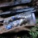 Hideout busted in Surankote, arms, ammo recovered
