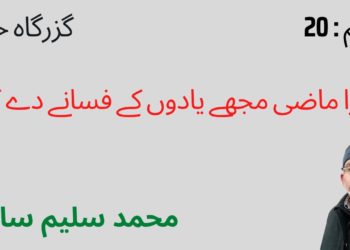 میرا ماضی مجھے یادوں کے فسانے دے گا