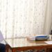 Former Minister; acclaimed Painter call on Lt Governor