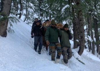 Army rescues pregnant lady, troopers wade through 6 ft high snow in Ramban