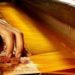 Govt approves project for revival of silk industry in JK