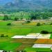 Digital J&K  Aapki Zameen, Aapki Nigrani portal revolutionizing revenue system across J&K