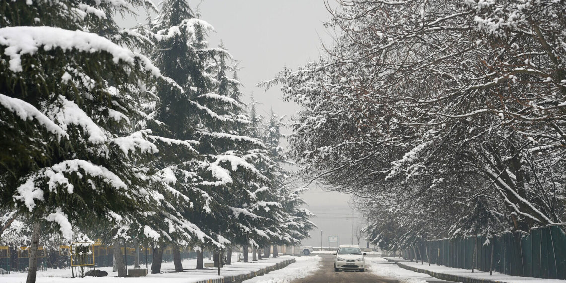Fresh snowfall in Kashmir, more forecast for 24 hours