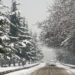 Fresh snowfall in Kashmir, more forecast for 24 hours