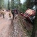 16 injured as bus skids off road in Udhampur