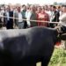 Animal Husbandry Department Jammu organises mega Awareness programme in Marh block 