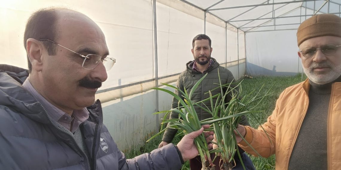 Director Agriculture kick-starts Vegetable Seedling distribution at VSM Farm Gangbugh