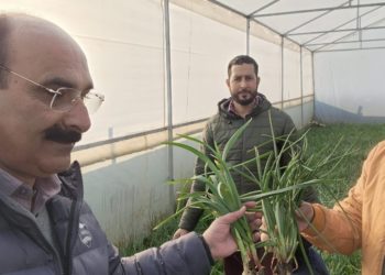 Director Agriculture kick-starts Vegetable Seedling distribution at VSM Farm Gangbugh