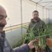 Director Agriculture kick-starts Vegetable Seedling distribution at VSM Farm Gangbugh