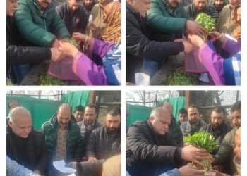 Director Agriculture Kashmir kick-starts Vegetable seedling distribution at Kitchen Garden Lalmandi 