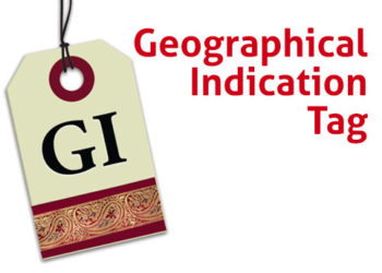 Nine J&K, Ladakh products to get GI tag