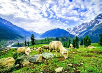How Kashmir is Transforming into a Paradise