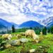 How Kashmir is Transforming into a Paradise