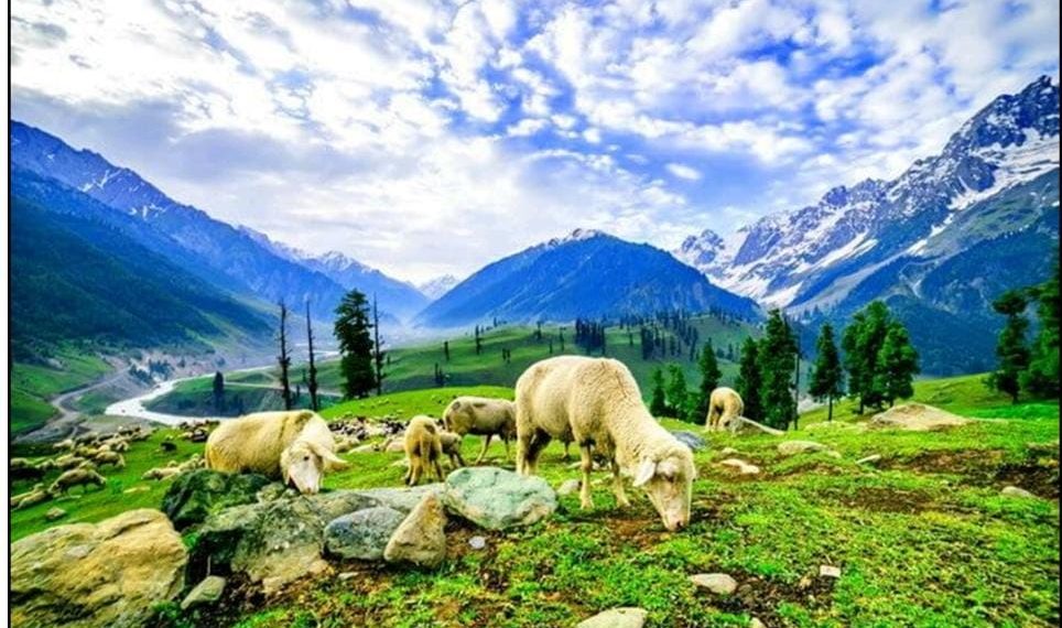 How Kashmir is Transforming into a Paradise