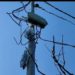 Handwara family receives huge electricity bill 7 thousand  in a month for the domestic consumption