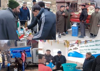 Trout fish, fresh vegetables remain available on Herath at Kupwara 