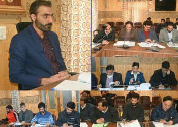 DC Anantnag reviews status of employment generation schemes