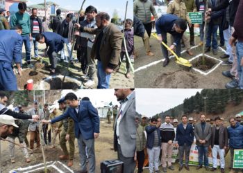 DC kick-starts Chinar plantation drive at Kulgam