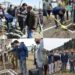 DC kick-starts Chinar plantation drive at Kulgam