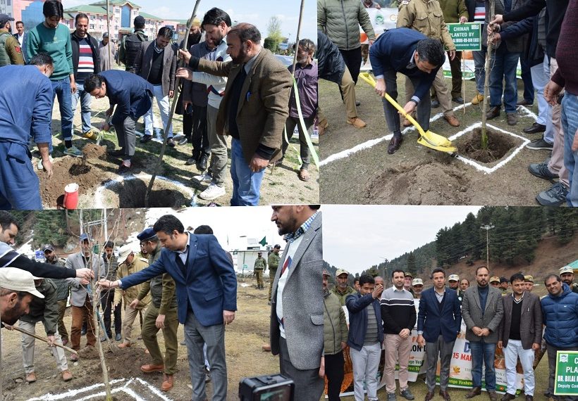 DC kick-starts Chinar plantation drive at Kulgam