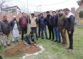 World Planting Day: DC Pulwama holds plantation drive in district
