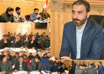 DLRC: DC Anantnag reviews credit facilitation in 3rd Quarter