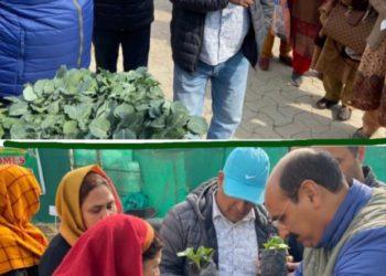Dir Agriculture Kashmir inaugurates distribution of vegetable seedlings raised under Hi-tech polyhouses