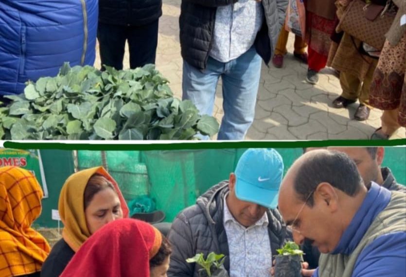 Dir Agriculture Kashmir inaugurates distribution of vegetable seedlings raised under Hi-tech polyhouses