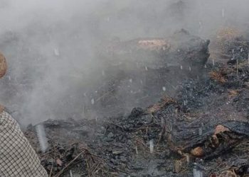 5 cattle charred alive in Mandi Poonch