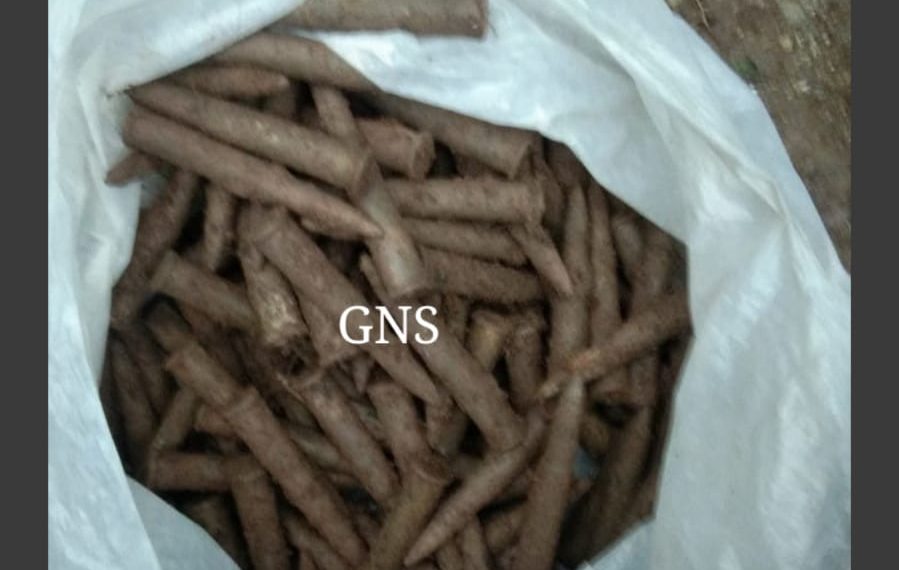 6 rusted grenades, 127 Pika rounds recovered in Rajouri