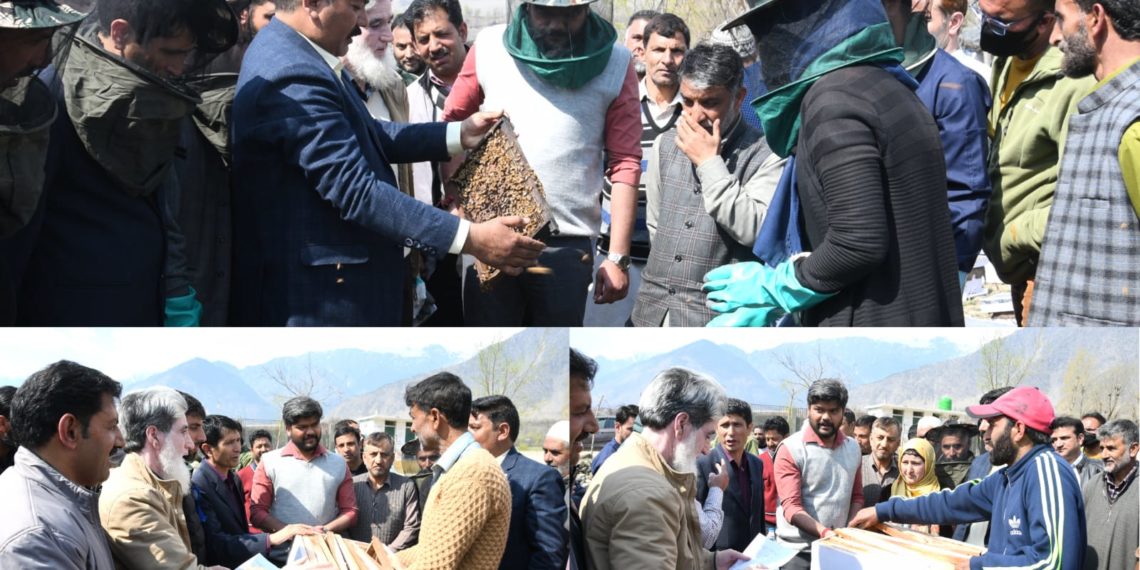 260 Honey Bee Colonies distributed among beneficiaries of block Gund under ABDP