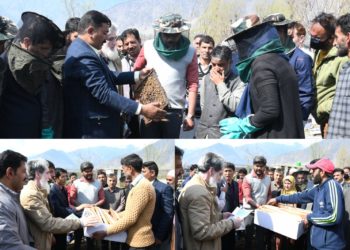 260 Honey Bee Colonies distributed among beneficiaries of block Gund under ABDP