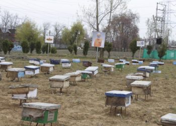KVIC Chairman distributes 1200 Bee Boxes to Farmers/Beekeepers of Pulwama and Ramban Districts of Jammu and Kashmir
