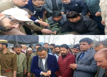 Chairman DDC, DC Kupwara kick start Plantation drive in Monabal Handwara  1500 saplings planted in a day