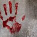 Young Woman Murdered, Chopped Into Pieces in Budgam, Accused Held: Police