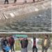 Shabnam Kamli visits different Trout Fish Farms of Srinagar