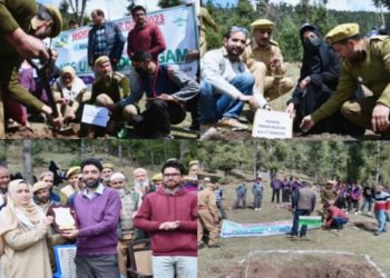 International Day of Forests: SFD Kupwara, GDC Sogam organise mass plantation drive at Dardpora Lolab