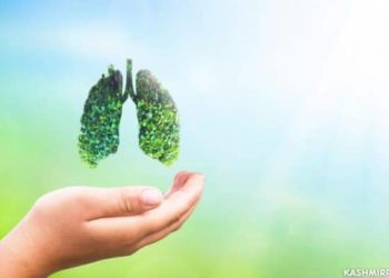 Anantnag, Pulwama declared Tuberculosis free, Srinagar gets gold