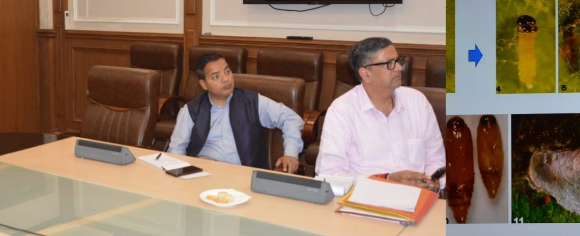Dulloo chairs meeting regarding early emergence of pests in districts